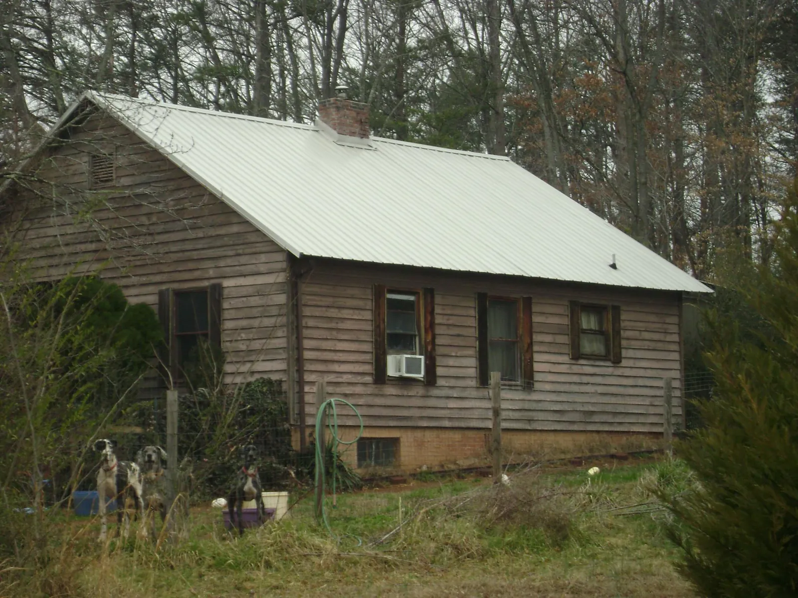White metal roof on an old wood sided farmhouse, from a Asphalt Shingle Roof Repair job in Pine Grove
